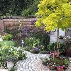 courtyard garden design